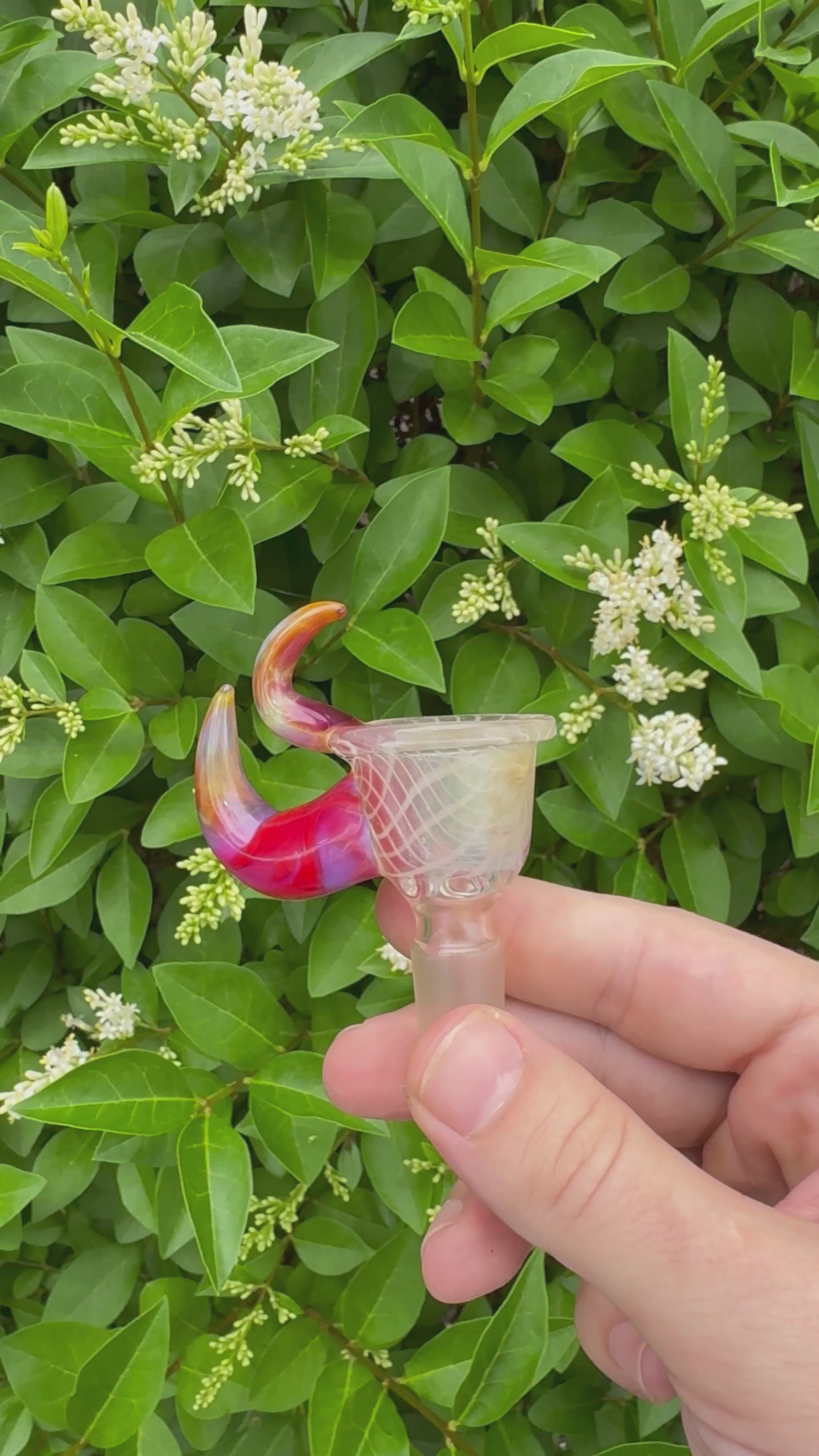 Horned Reti Slide — JT Envisions Collab